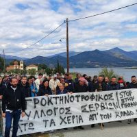 Παράσταση διαμαρτυρίας κτηνοτρόφων στη γέφυρα Σερβίων – Ζητούν άρση της καραντίνας