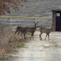 Ο χειμώνας 2025-2026 καταγράφεται ως ένας από τους πιο βροχερούς χειμώνες των τελευταίων δεκαετιών στην Ελλάδα – Του Μιχάλη Ραμπίδη