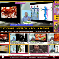 Ποιοτικά χαρακτηριστικά και ιατροφαρμακευτικές ιδιότητες του κρόκου Κοζάνης – Άρθρο του Σταύρου Π. Καπλάνογλου