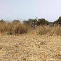 Νέο πλαίσιο για τον καθαρισμό οικοπέδων – Προθεσμίες, υποχρεώσεις και αυστηρότερα πρόστιμα με τον Ν. 5281/2026