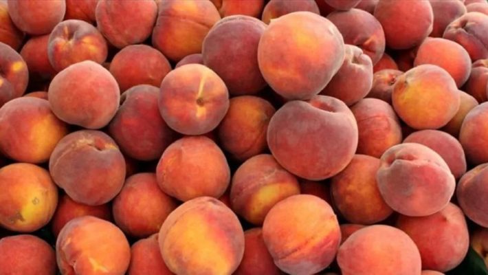 Δέκα αγροτικά προϊόντα της Δυτικής Μακεδονίας σε τροχιά πιστοποίησης ΠΟΠ και ΠΓΕ