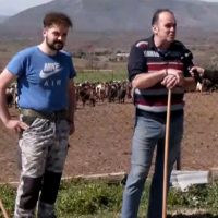 Κοζάνη: Κτηνοτρόφοι στο αυτόφωρο επειδή «σπάνε» την καραντίνα και βγάζουν τα κοπάδια τους έξω