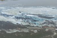 Αυτοψία στη λίμνη Πολυφύτου για τον επιφανειακό αφρισμό – Σε εξέλιξη έρευνα από την Περιφέρεια Δυτικής Μακεδονίας