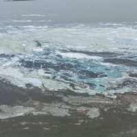 Αυτοψία στη λίμνη Πολυφύτου για τον επιφανειακό αφρισμό – Σε εξέλιξη έρευνα από την Περιφέρεια Δυτικής Μακεδονίας
