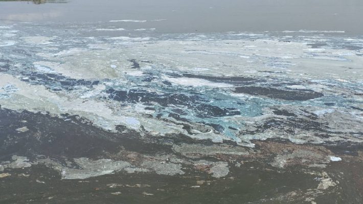 Αυτοψία στη λίμνη Πολυφύτου για τον επιφανειακό αφρισμό – Σε εξέλιξη έρευνα από την Περιφέρεια Δυτικής Μακεδονίας