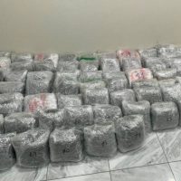 Κοζάνη: Κατασχέθηκαν πάνω από 76 κιλά ακατέργαστης κάνναβης – Αστυνομική επιχείρηση για τον εντοπισμό του οδηγού