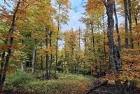 Ο Ε.Ο.Σ. Κοζάνης διοργανώνει ορειβατική διαδρομή στο Βόιο την Κυριακή 26 Απριλίου