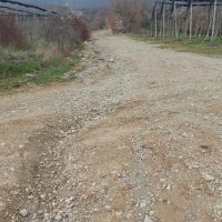”ΕΛΠΙΔΑ”: Πύργοι Εορδαίας, παραγωγοί πρότυπο – Περιφέρεια απούσα