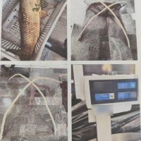 Σύλληψη 2 ατόμων στη λίμνη Βεγορίτιδα για παράνομη αλιεία
