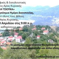 Αγία Κυριακή Βελβεντού: Μεγάλη Εθελοντική Δράση για το Περιβάλλον και την Παγκόσμια Ημέρα Δασοπονίας
