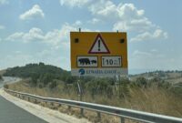 Τροχαίο με νεκρή νεαρή αρκούδα στον κάθετο άξονα Σιάτιστα-Κρυσταλλοπηγή της Εγνατίας Οδού