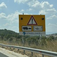 Τροχαίο με νεκρή νεαρή αρκούδα στον κάθετο άξονα Σιάτιστα-Κρυσταλλοπηγή της Εγνατίας Οδού