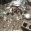 Επίθεση αρκούδας σε κοτέτσια στην Κερασιά Κοζάνης – Δείτε φωτογραφίες