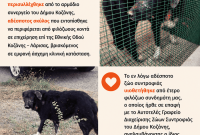 Ανακοίνωση από το αυτοτελές γραφείο διαχείρισης ζώων συντροφιάς του Δήμου Κοζάνης