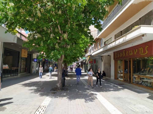 96458397 270189087456453 7240040973756006400 n