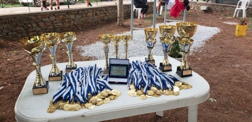 241033893 398127921906462 7839360995941588141 n