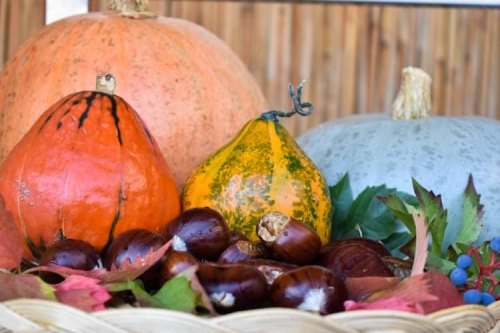 received 404084430637227