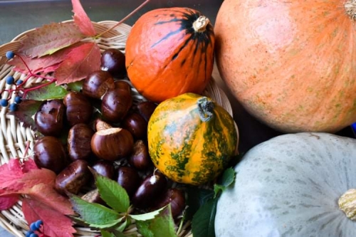 received 813699382779832