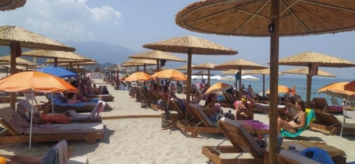 223959663 559533741861108 855096906164511455 n