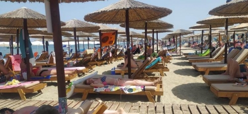 228349436 878910169372014 5357471482513216826 n