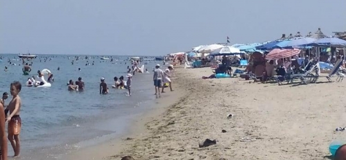 228850575 352566706453912 179304029439451947 n