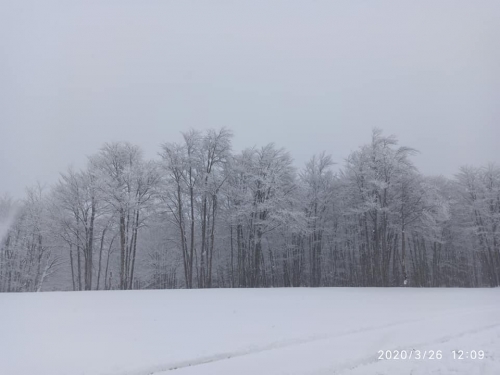 90705336 10221761511728941 2779863697676304384 n