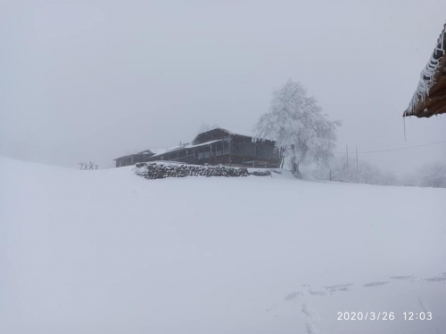 90960627 10221761512008948 5493595279930163200 n