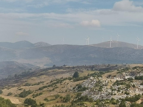 230797540 857336451886458 1252727158169479340 n