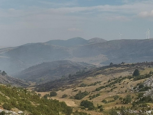 231806443 810670322954254 3872081080992218904 n