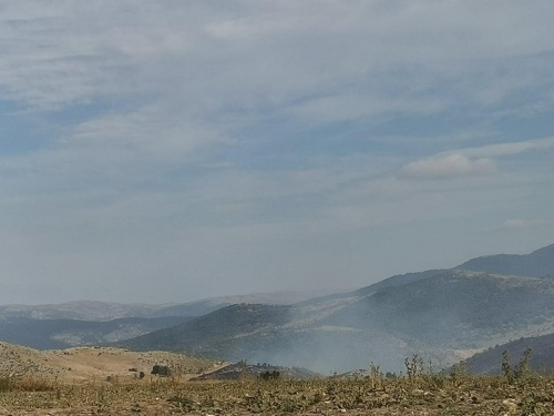 232130242 229927609011882 4141604482651082025 n