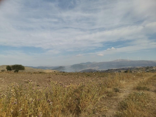 232928394 4277786448980754 6592687286356024943 n