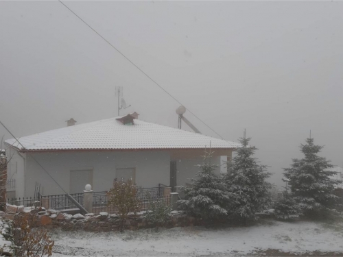 79166139 803692143425023 6333191880842412032 n